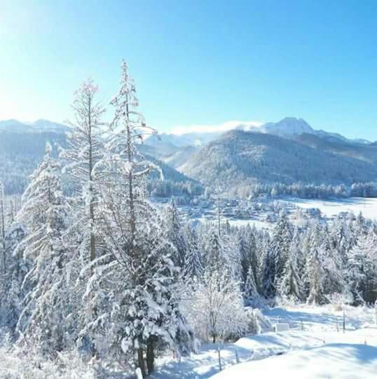 Pokoje Goscinne Anna Bobak Zakopane Extérieur photo